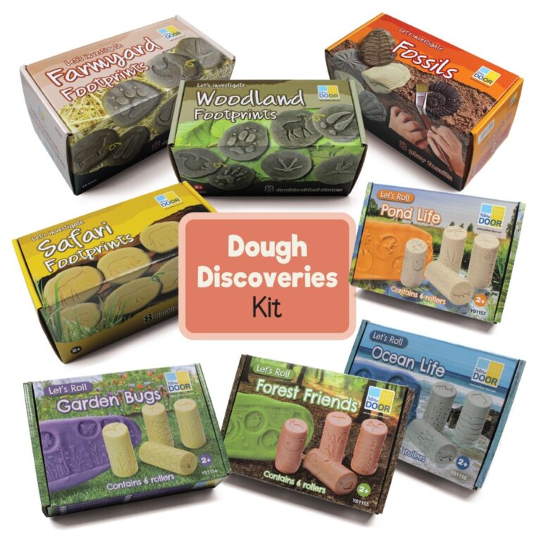 dough discovery kit