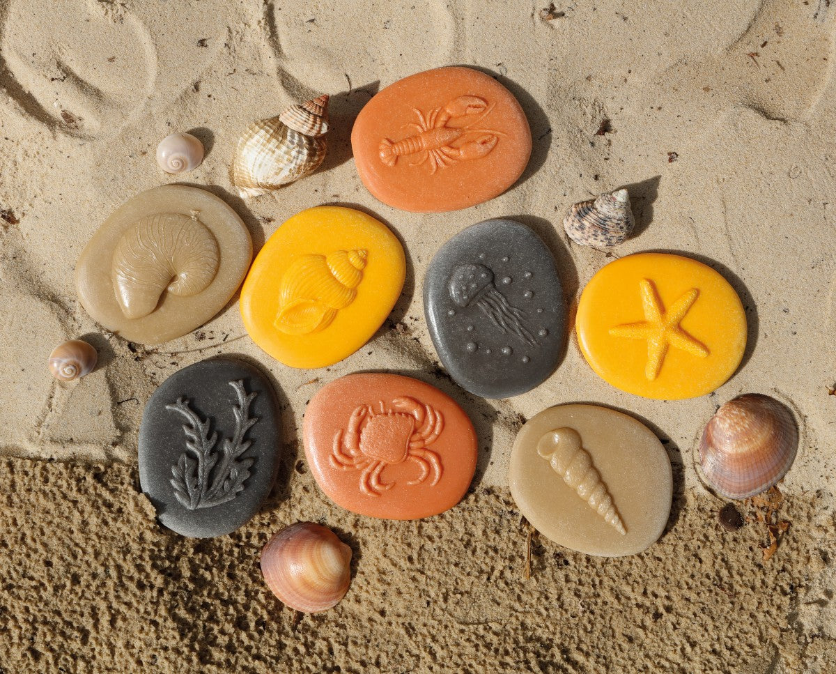 Seashore sensory play stones